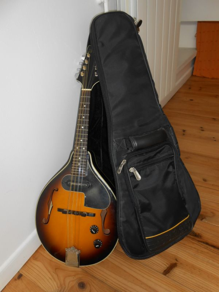 Photo : Mandoline        electroacoustique Aria AM 200E