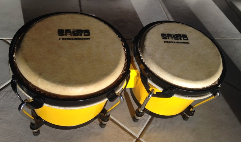 Photo : Bongos           Salto avec housse