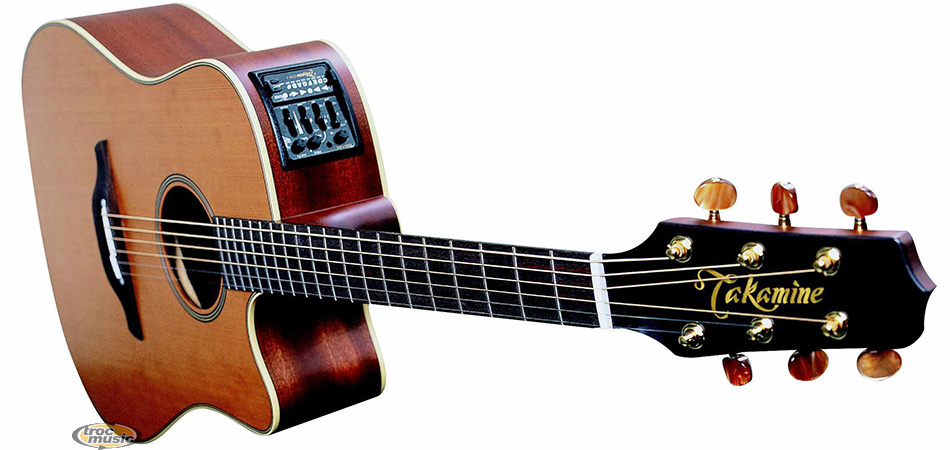 Photo : Takamine       TAN 10 C  Preamp a lampe CTP1