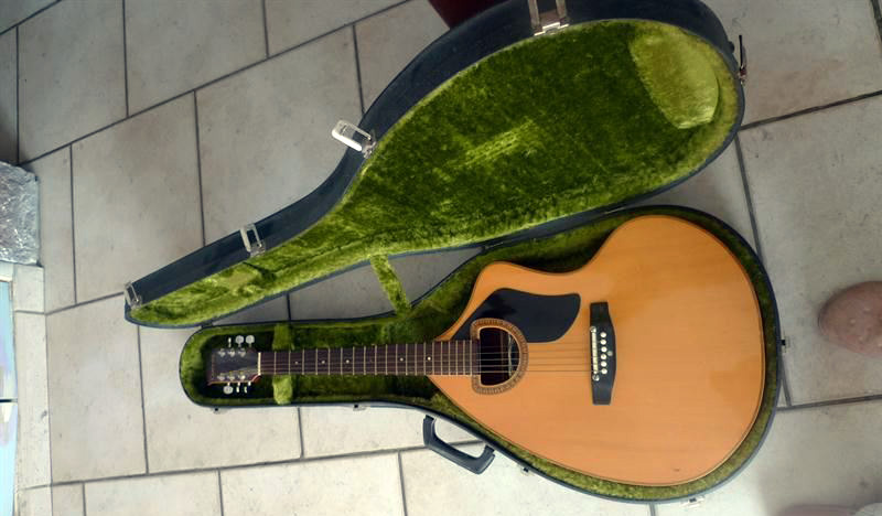 Photo : GUITARE GIANNINI AVEC BOITE DE TRANSPORT