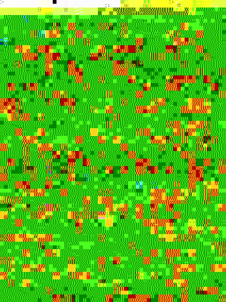 Photo : Violoncelle      francais debut 19eme