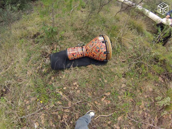 Photo : DJEMBE   REMO   18 POUCES