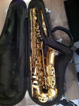 Photo : Selmer super action 80 serie I alto + flight