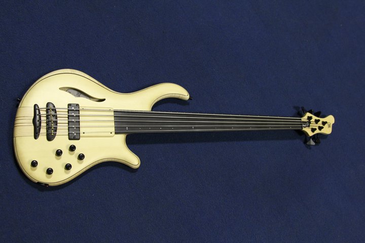 Photo : Fretless   5   cordes Mayones Patriot MR