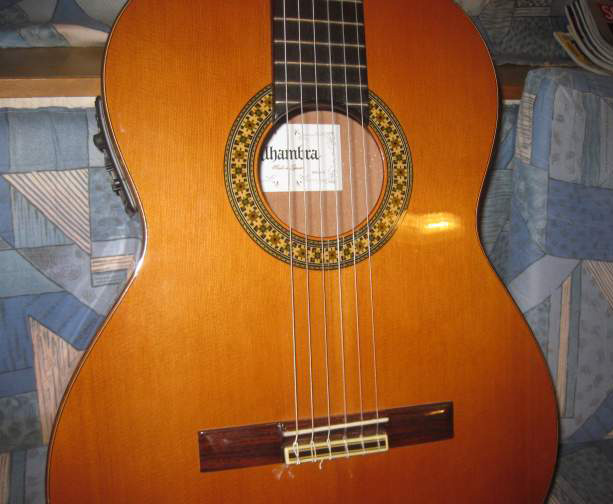 Photo : Alhambra        4P Electro Fishman Presys Blend301