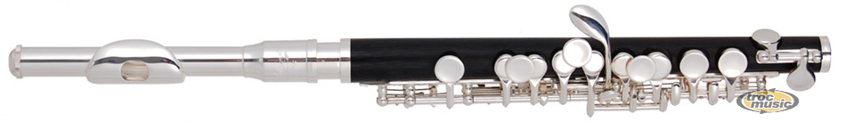 Photo : Eagleton   Road  PI100 Flute Piccolo