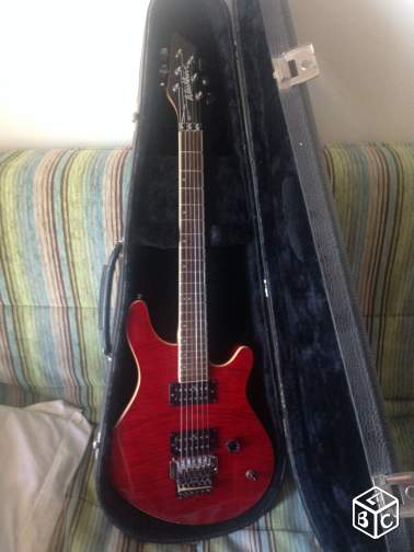 Photo : WASHBURN         + ETUI de 35 ans