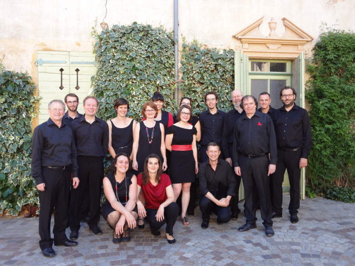 Photo : Chanteurs chanteuses pour rentree 2017