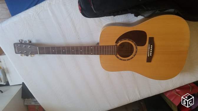 Photo : Guitare   Folk  Norman