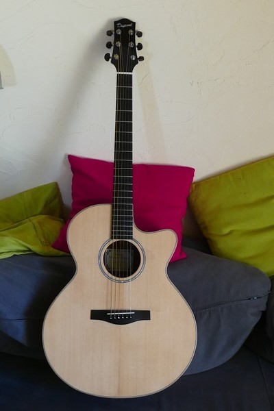 Photo annonce Folk   Electro   Dupont ABJ 100