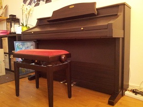 Photo : Kawai           CP 155