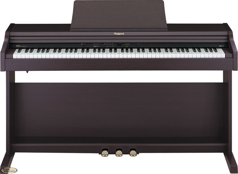 Photo : Roland         RP201 SB
