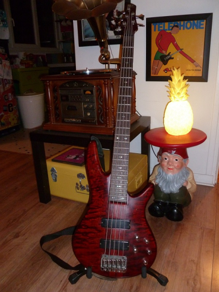 Photo : Ibanez     SR    905 5 cordes active