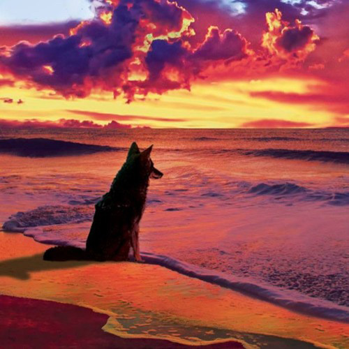 Photo : Batteur influences Oasis Beatles Pink Floy Doors