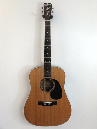 Photo : Dreadnought      Blueridge BR60