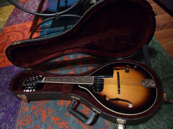 Photo : Mandoline        electro acoustique Fender FM52E