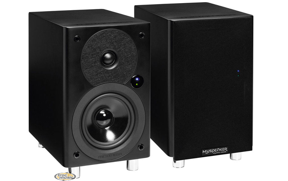 Photo : Micromega Myspeaker myamp inside