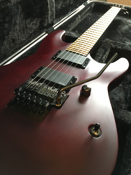 Photo : Schecter Jeff Loomis 6 FR VRS