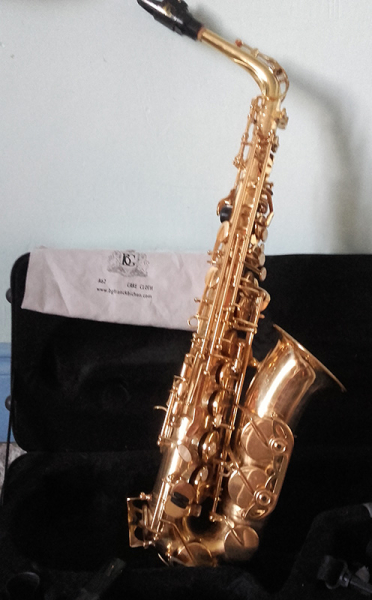 Photo : SAXO     SML     + 2 BECS