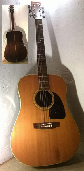 Photo : Guitare   folk   Vintage Di Mauro DW