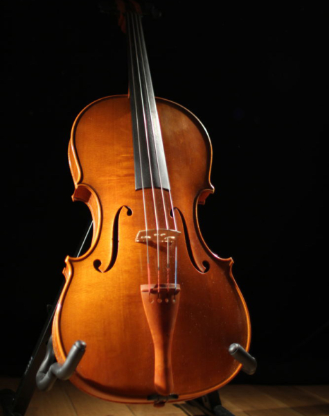 Photo : Violon    Alto   Joel Bion 1996 41 3 cm