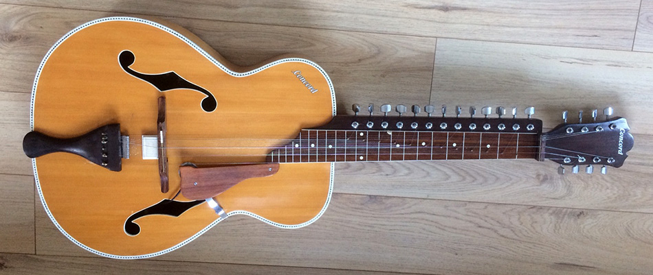 Photo : Guitare Slide Mohan Veena