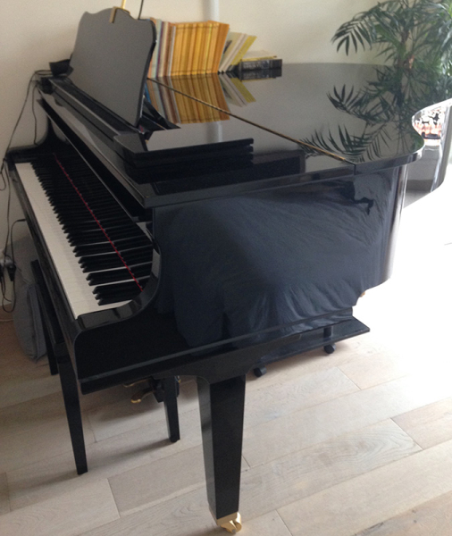 Photo : Quart  de  queue Yamaha GC1 Silent SG