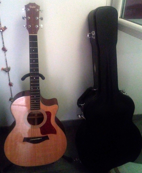 Photo : Taylor        314ce avec flight case origine