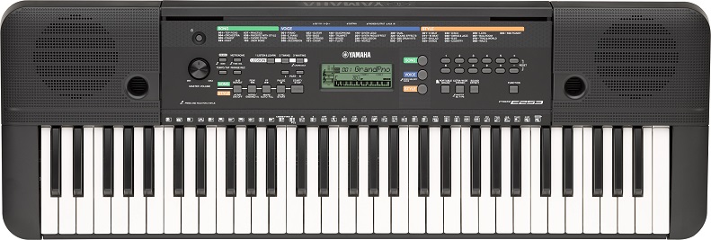 Photo : YAMAHA   PSR  E253