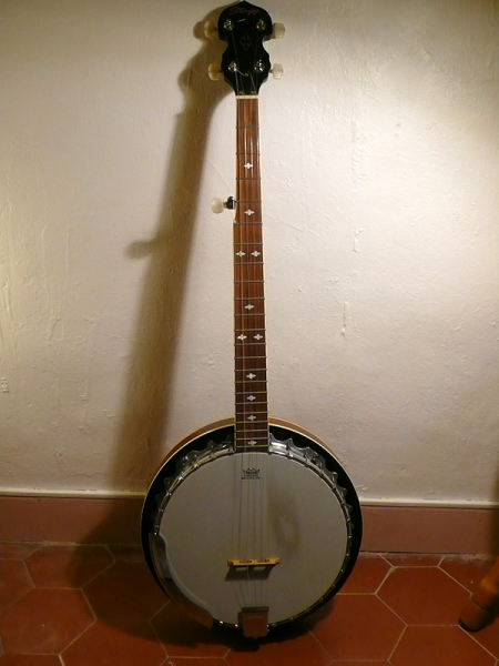 Photo : Banjo    Stagg   5 cordes 