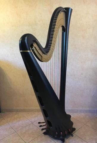 Photo : HARPE            SALVI DAPHNE 47 cordes