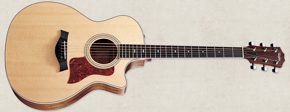 Photo : Taylor  414  CE  de 2011