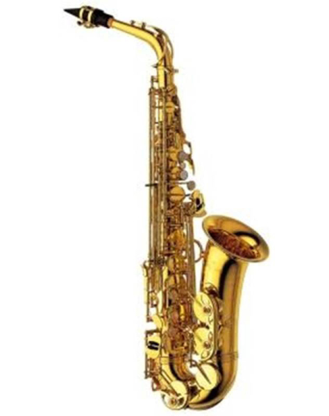 Photo : Saxo    Alto     YANAGISAWA 901