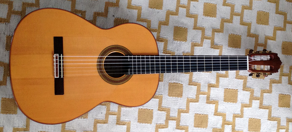 Photo : Guitare   Flamenca Negra Vicente Carillo 2006