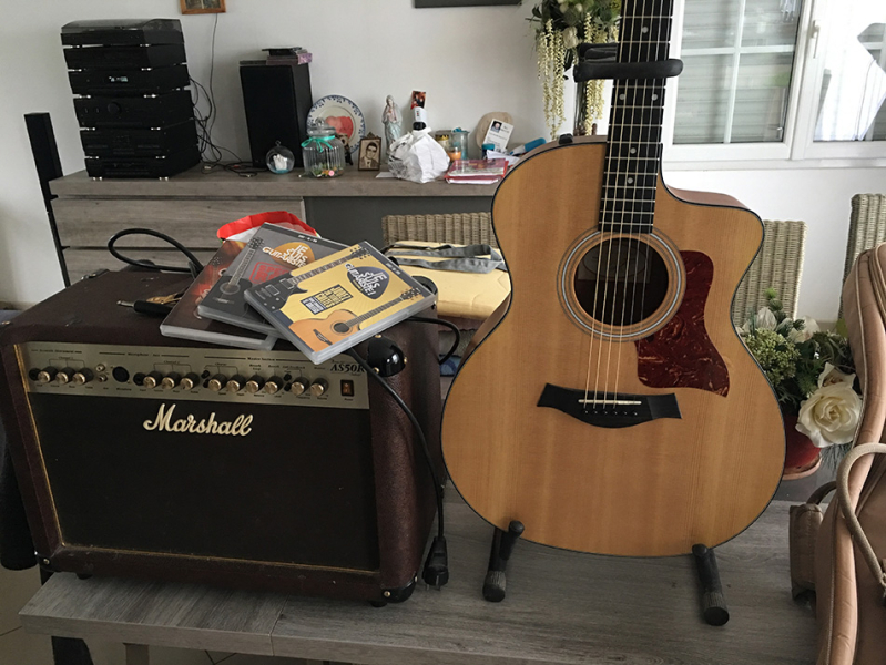 Photo : Taylor    114   CE electro acc + ampli et acces