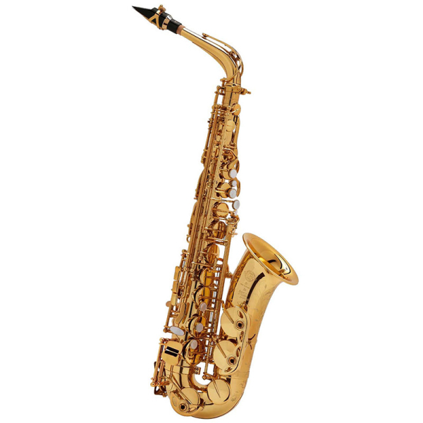 Photo : Selmer   alto   Super Action 80 1984