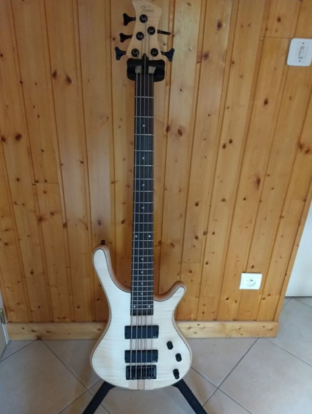 Photo : Basse      5     cordes Fame