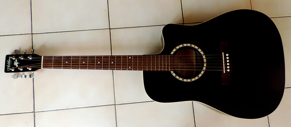 Photo : Art Lutherie Black Cedar + housse