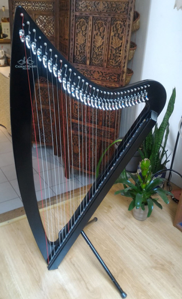 Photo annonce Harpe            DHC Blue light 32 cordes noire