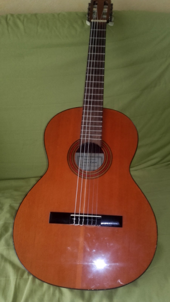 Photo : ESTEVE           104 guitare classique