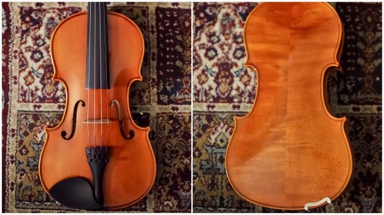 Photo : Violon   entier  d etude Eastman VL100 2008