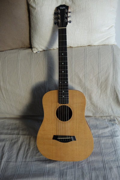 Photo : Taylor   Baby    avec sa housse