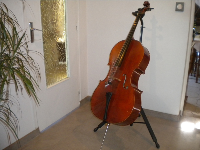 Photo : Violoncelle      d etude avec 2 archets