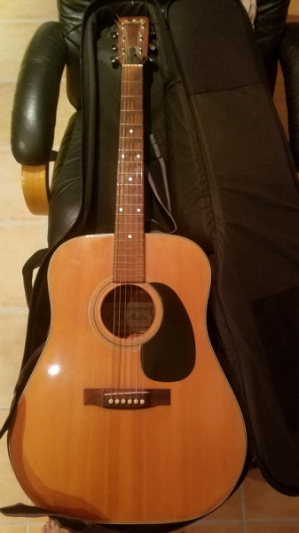 Photo : Guitare  Martin  W 170 recherche cote Pro 