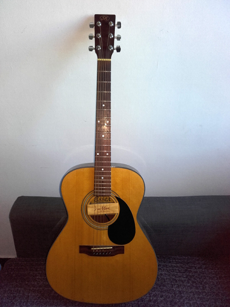 Photo : Guitare   Folk   SX natural + micro Dean Markley 