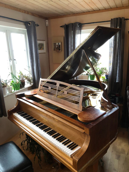 Photo : Piano      a    queue  Feurich allemand 1917