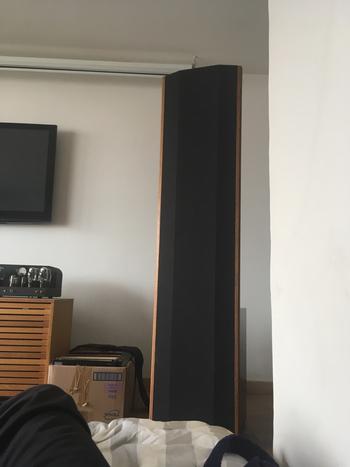 Photo : Enceintes  Hifi  Panneaux ESL Soundlab