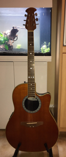 Photo : Ovation Celebrity CC 047