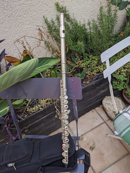 Photo : Pearl     F    695 dolce vigore Flute traversiere