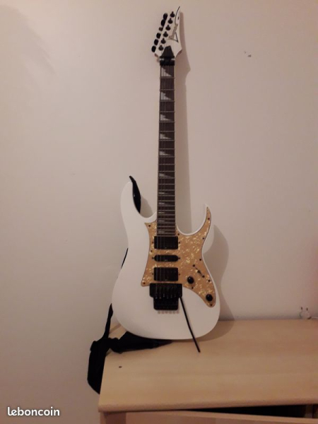 Photo : Guitare  Ibanez  FloydRose